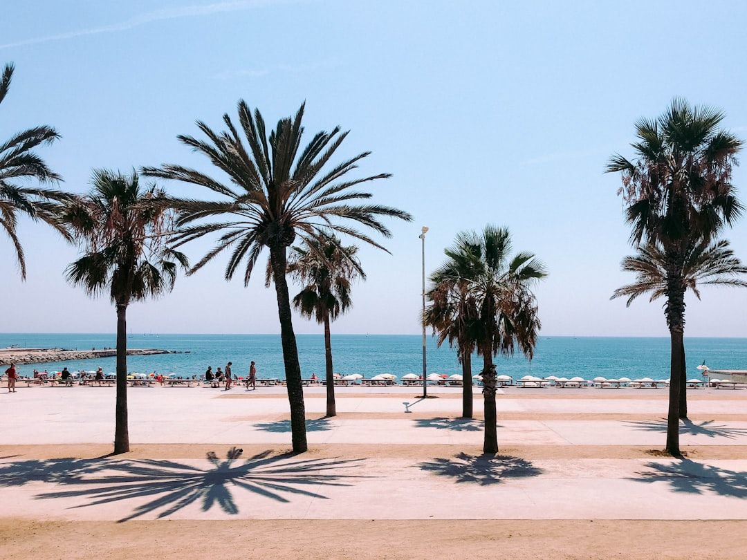 Day 3 — Montjuïc, the beach, or a day trip in Barcelona