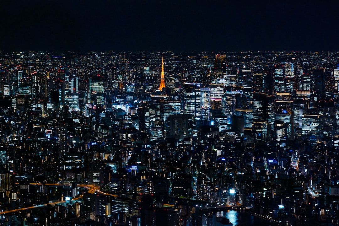 Days thirteen and fourteen: back east in Tokyo